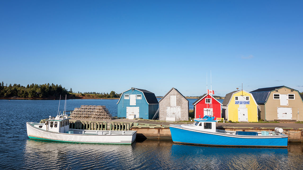 Houses built on the sea